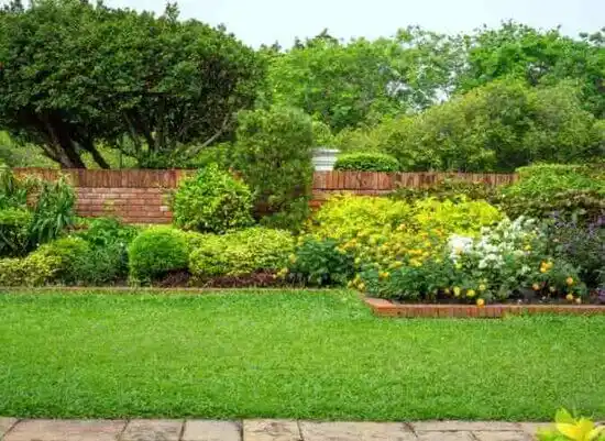 landscaping services Hendersonville